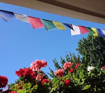 Bed & Breakfast Bonn 24 Mai Bis14 Juni Mit Hund In Der Wohnung ภายนอก รูปภาพ