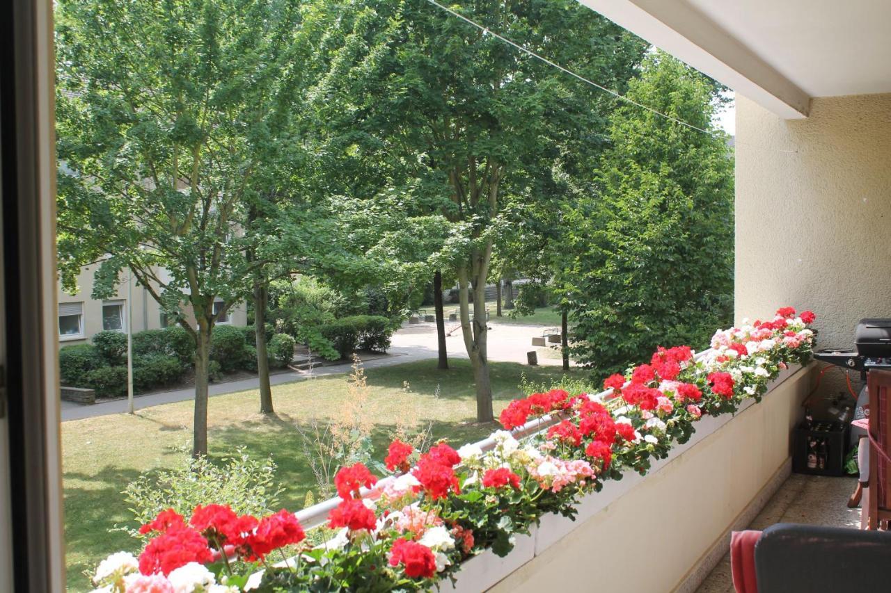 Bed & Breakfast Bonn 24 Mai Bis14 Juni Mit Hund In Der Wohnung ภายนอก รูปภาพ